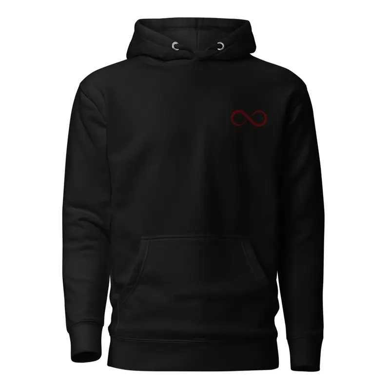 Limited infinite embroidered hoodie 